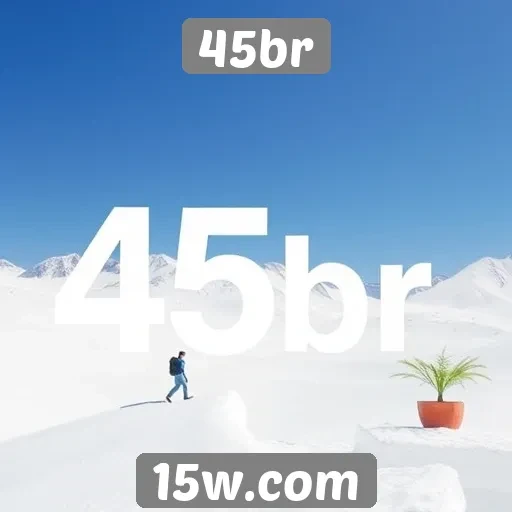 Dicas para otimizar sua experiência no site 45br